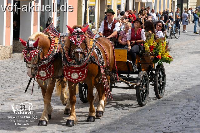 Foto Laudi_ Volksfestzug-68.jpg